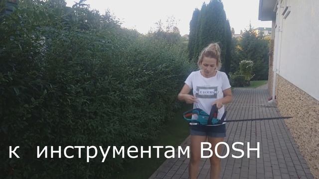 СТРИЖКА ЖИВОЙ ИЗГОРОДИ / АККУМУЛЯТОРНЫЙ КУСТОРЕЗ BOSCH AHS 50-20 LI смотреть онлайн