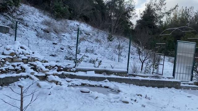 Зимняя сказка в Геленджике смотреть онлайн