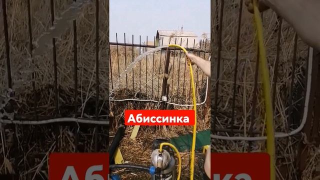 пробурена Абиссинская скважина в Снт Берёзка Новосибирск. глубина 15 метров. дебет скважины 2 м3 смотреть онлайн