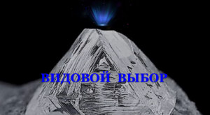ВИДОВОЙ ВЫБОР. Разговор с Сергеем Резником, учеником Духовного Наставника Людмилы Резник