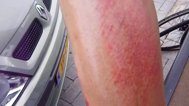 Berkel en Rodenrijs смотреть онлайн