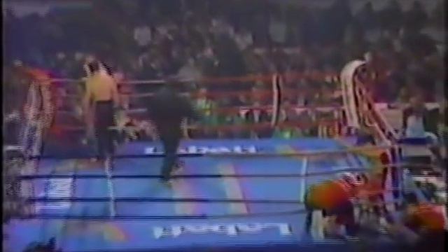 Jean-Yves Thériault Vs Don Wilson 12-18-84