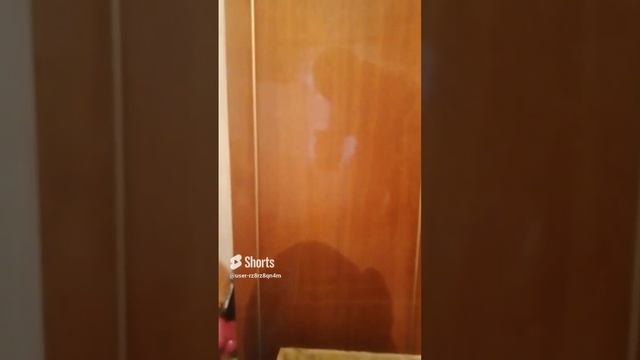 рамка с медом