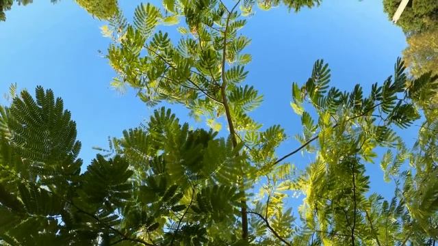 14 признаков того, что о вас кто-то постоянно думает.