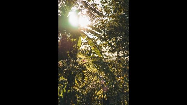 The Hour of Relax - 1 hour relaxing \\ studying and relaxation смотреть онлайн