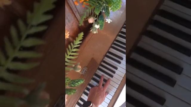 Декор пианино цветами |Флорист Алёна Куликова смотреть онлайн