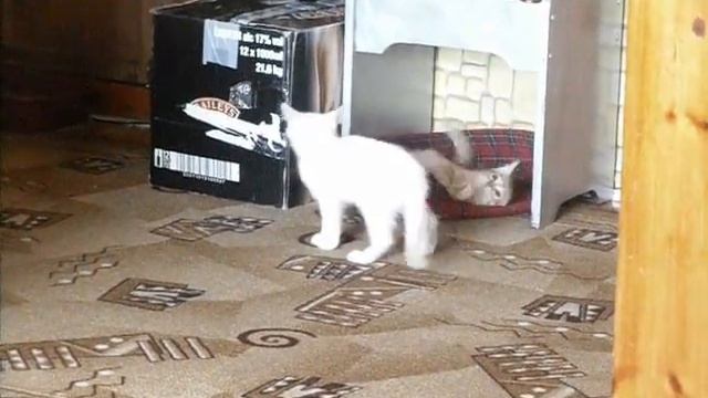 Игры ^-^ смотреть онлайн