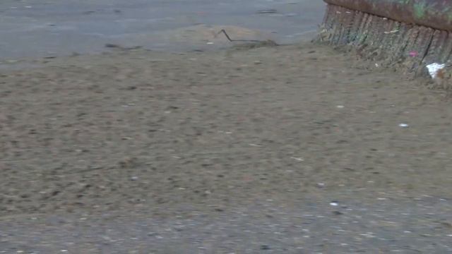 На анапских пляжах наводят порядок после шторма смотреть онлайн