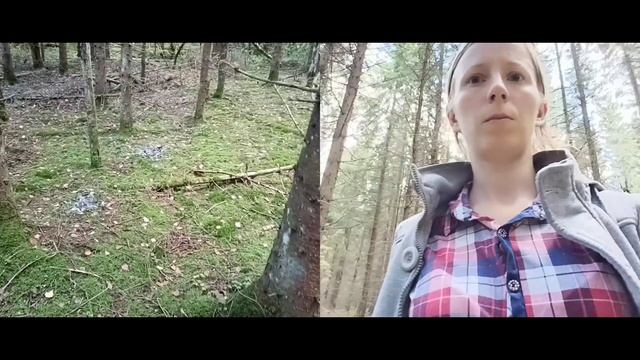 Съездили за груздями?✌ смотреть онлайн