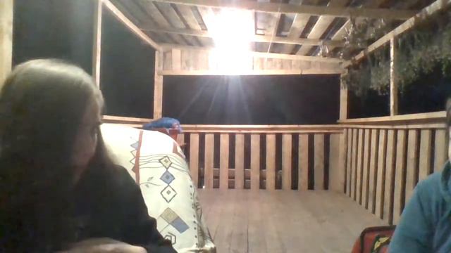 общение бот работает смотреть онлайн