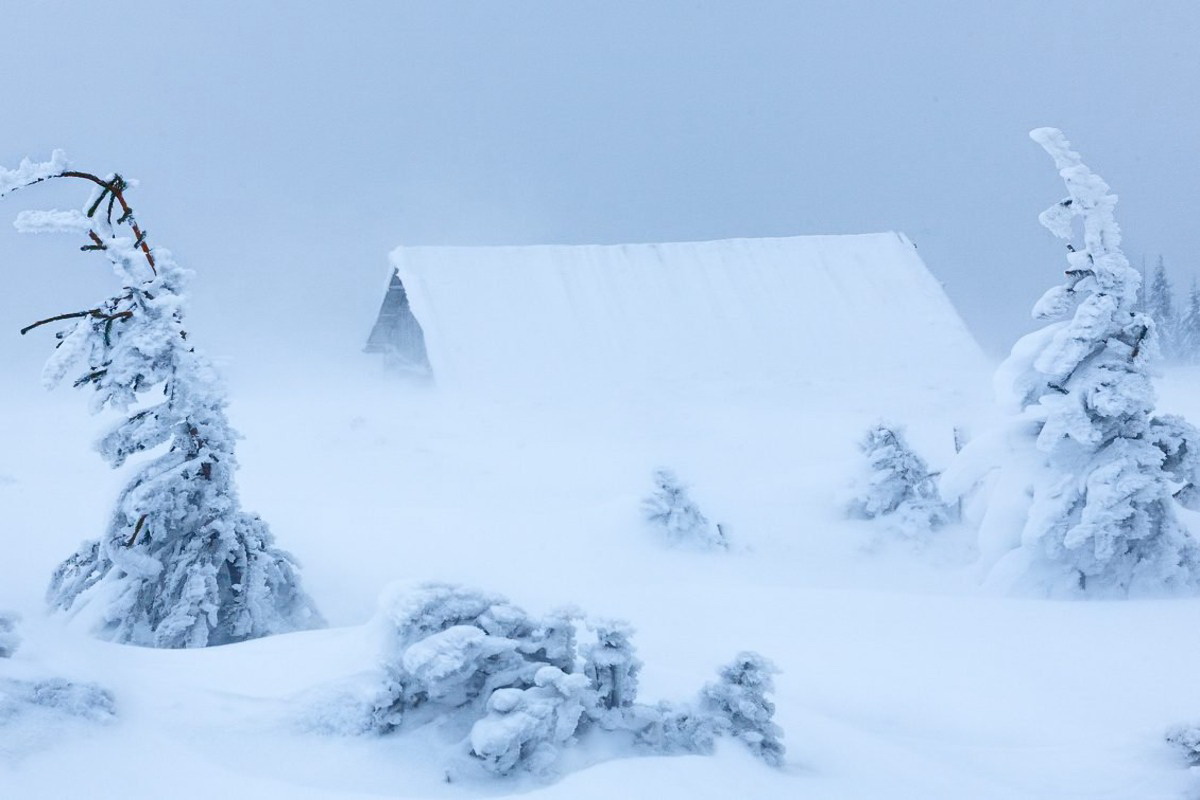 Снежинки. Вьюга