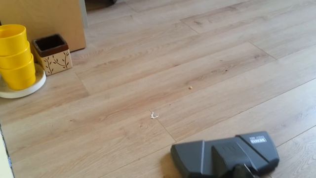 Odkurzacz wodny Thomas Multiclean x10 смотреть онлайн
