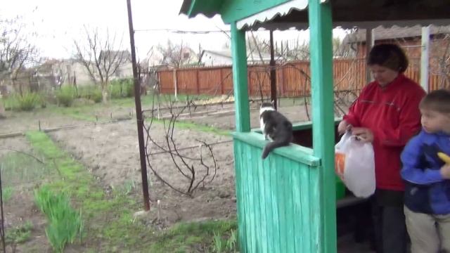 VLOG: ПЕРВАЯ ПОЕЗДКА НА ДАЧУ, ПОСЫЛКА ОТ ПОДПИСЧИКА ЧЕБУРАШКИ, АЛИСКА В ШОКЕ. СЕМЕЙНЫЙ ВЛОГ смотреть онлайн