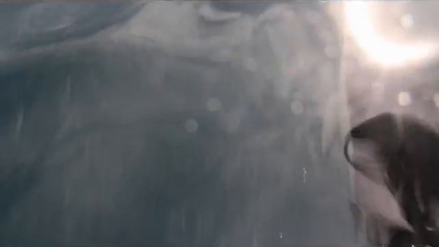 Sailing the Northern Atlantic featuring my Gibson Les Paul смотреть онлайн