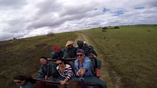 South Africa |  ЮАР  Порт-Элизабет L Cафари парк