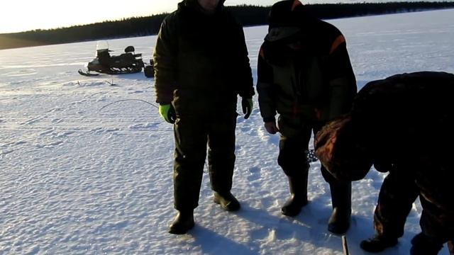 Зимняя рыбалка . Налимы. смотреть онлайн