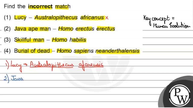 Find the incorrect match
(1) Lucy - Australopithecus africanus
(2) Java ape man - Homo erectus e... смотреть онлайн