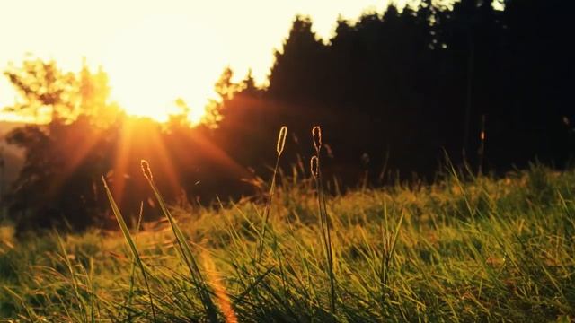 КАК НАУЧИТЬСЯ БЫТЬ ЗДЕСЬ И СЕЙЧАС. ЭСХАРТ ТОЛЛЕ смотреть онлайн