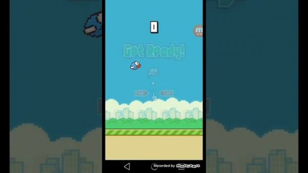 Обзор игры ,,FLAPPY BIRD"
