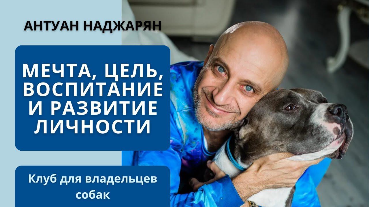 Секреты успеха в воспитании собак и не только смотреть онлайн