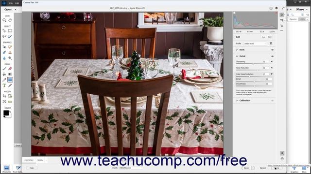 How to Open Processed Camera Raw Files in the Editor in Adobe Photoshop Elements 2023: A Tutorial смотреть онлайн