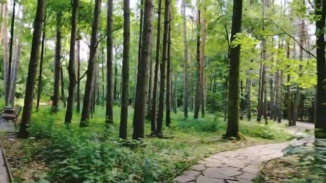 #дендропарк #летовпарке#чихуа#исновабудетлето и снова будет лето и снова 🦟🦟🦟 смотреть онлайн