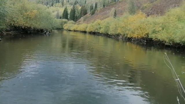 Река Чумыш осенью. Очень мало воды! Болотоход мотор- весло. смотреть онлайн