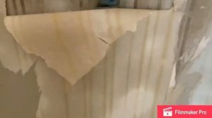 КАК СДЕЛАТЬ РЕМОНТ В КОМНАТЕ БЫСТРО И НЕДОРОГО. КАК БЫСТРО СНЯТЬ СТАРЫЕ ОБОИ С ГИПСОКАРТОНА.