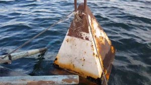 Как показивает стену плотвы эхолот Humminbird 197 c DI