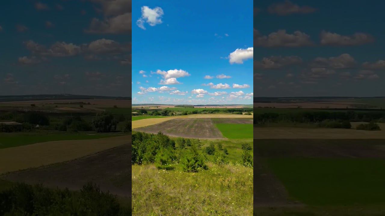 я узнал что у меня, есть огромная семья #shorts смотреть онлайн