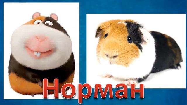 ТАЙНАЯ ЖИЗНЬ ДОМАШНИХ ЖИВОТНЫХ В РЕАЛЬНОСТИ смотреть онлайн