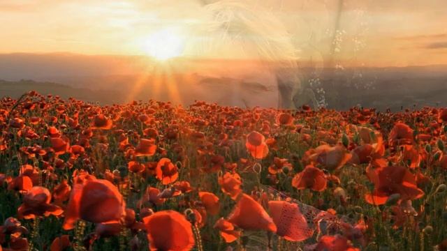 ПОЗДРАВЛЯЮ БАБУШКУ ЛЕНУ смотреть онлайн