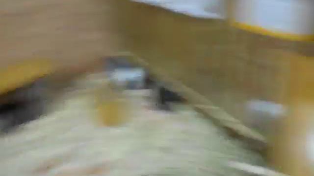 Vlog #2: Волгоград, Тир, Трогательный зоопарк смотреть онлайн
