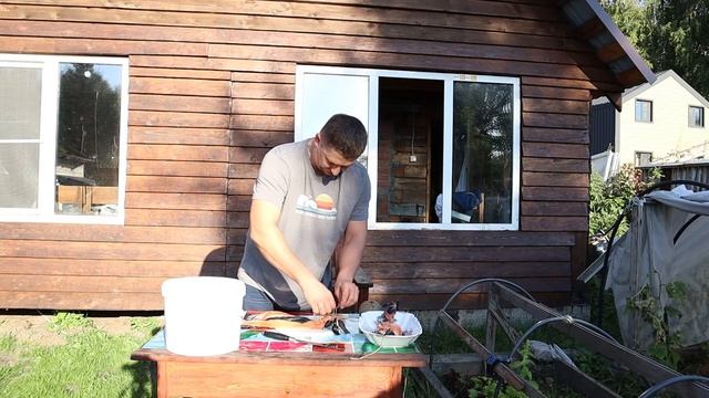 Любимая кухня