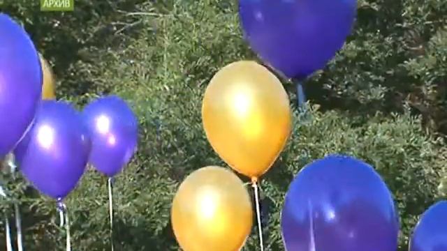 ЗАпись в 1 класс по прописке смотреть онлайн