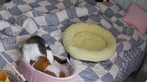 Когда хочется тишины