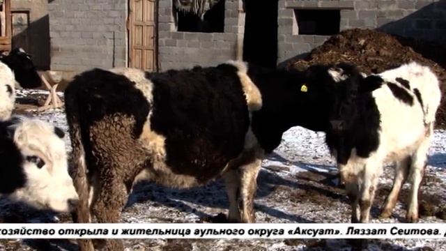 В РАМКАХ ГОСУДАРСТВЕННОЙ ПРОГРАММЫ смотреть онлайн