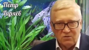 Пётр Гаряев. Сколько матриц Гаряева? (Ответ на вопрос.)