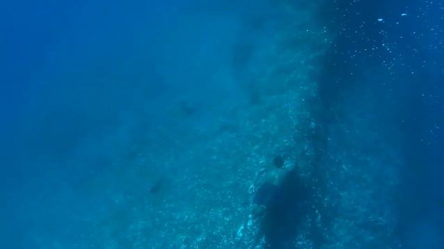 SHAZAM Top 50🍓Лучшая Музыка 2021❄️Зарубежные песни Хиты❄️Популярные Песни Слушать Бесплатно 2021| смотреть онлайн