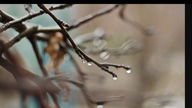 Журчат ручьи..Идет весна! Весне дорогу!(Юлия Пивень) смотреть онлайн