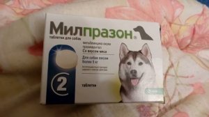 Милпразон　250руб.