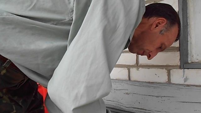 Актофит: инструкция по применению против колорадского жука смотреть онлайн