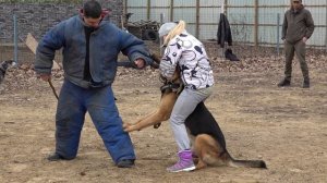 Обучение Собак ЗАЩИТЕ ХОЗЯЕВ в любых ситуациях. Школа СЛУЖЕБНОГО СОБАКОВОДСТВА «СТРАЖ» Одесса.
