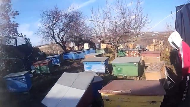 Облёт перед зимовкой