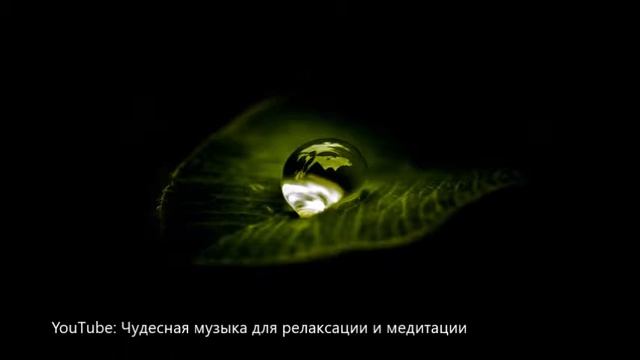 【Универсальная исцеляющая энергия】 Рейки исцеляющая музыка для позитивного потока энергии смотреть онлайн