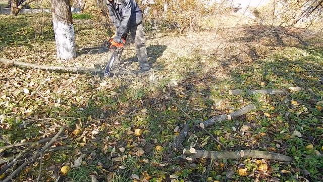 Foresta Fa 58-N смотреть онлайн