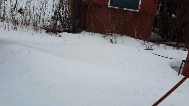 Эксперимент с переподключениями солнечных панелей и разными инверторами смотреть онлайн