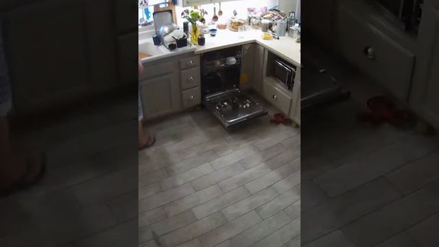 тихо стырил и бегом смотреть онлайн