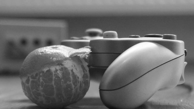 gamecube eating in HD смотреть онлайн