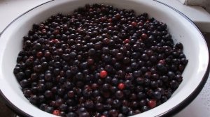 Варенье из ирги. Сбор, польза и вред, приготовление.